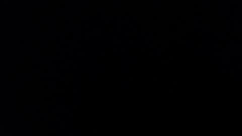 Snapshot of karolay_su chatting on January 2025 08:11:02 AM ARIANNA online show from January 2025 08:11:02 AM