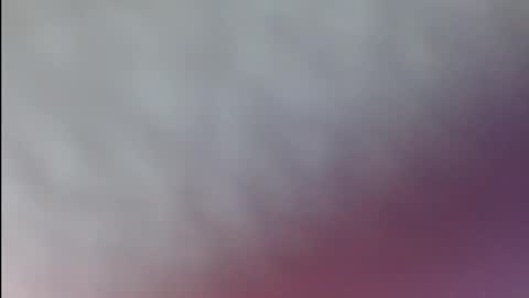 karol online show from April 2026 05:46:01 PM