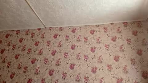 Sara online show from February 2026 07:19:01 AM