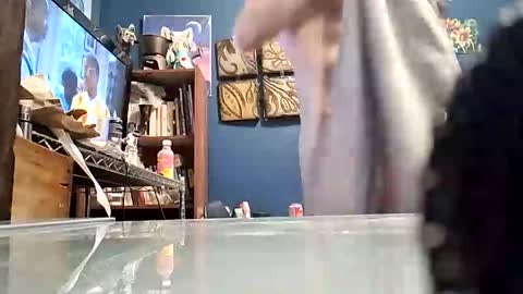 kash49292698640 online show from March 2026 03:54:01 AM