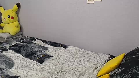 KathrineBerry online show from January 2025 02:07:01 PM