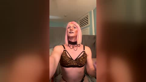 katiebabykitty online show from May 2026 01:35:01 AM