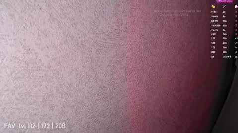 Snapshot of katrin_fox chatting on December 2024 12:16:01 AM pvt open online show from December 2024 12:16:01 AM