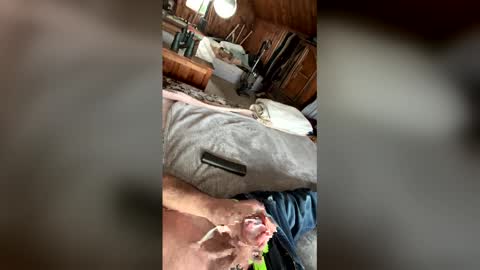 Snapshot of kckc40000 chatting on January 2026 07:19:02 PM kckc40000 online show from January 2026 07:19:02 PM