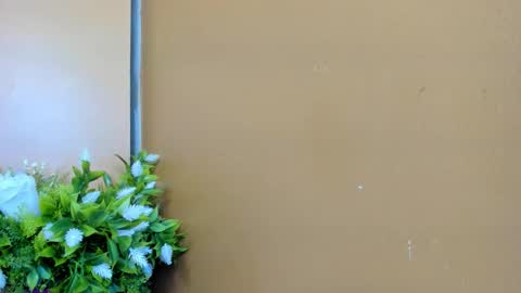 keisy_sanchez online show from January 2026 11:14:02 AM