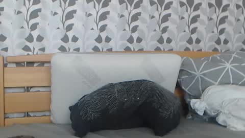 kelywild20 online show from July 2026 07:06:02 AM