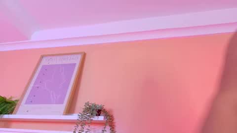   online show from November 2025 10:17:02 AM