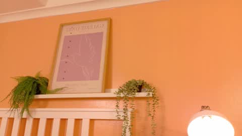   online show from February 2026 09:02:02 AM