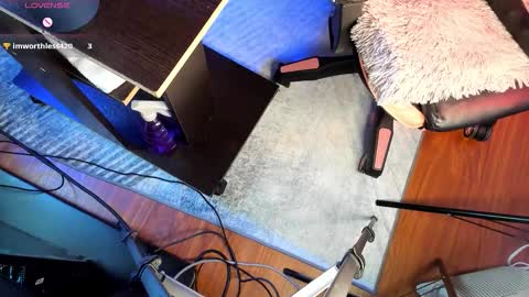  01  online show from November 2025 03:36:01 PM