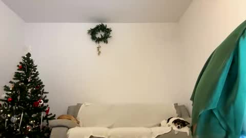 Kenna next time online - 2nd of Dec online show from December 2024 01:03:01 PM