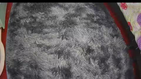 Keyla online show from February 2026 06:26:01 AM