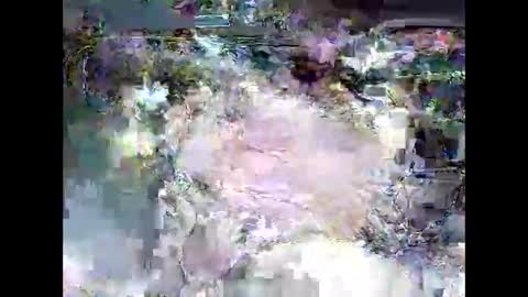 ki389253 online show from March 2026 02:17:02 AM