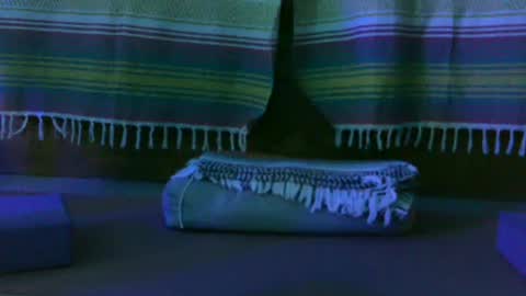 Kim online show from October 2025 12:49:02 PM