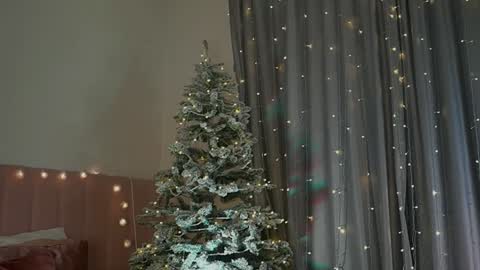 Snapshot of kim_oberlin chatting on December 2024 05:34:01 PM Kim Oberlin online show from December 2024 05:34:01 PM