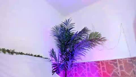 kimberly gonzalez online show from December 2024 09:33:01 AM