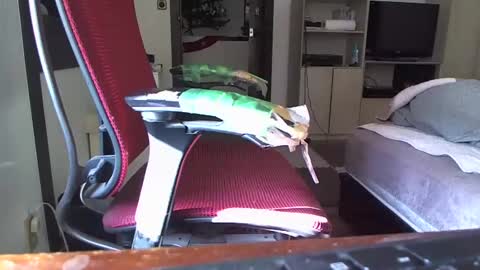 kinchan069 online show from December 2024 03:59:02 AM