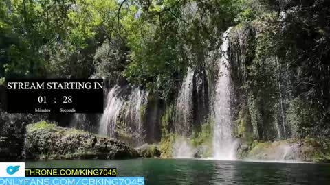 Snapshot of king7045 chatting on January 2025 08:04:02 AM king7045 online show from January 2025 08:04:02 AM