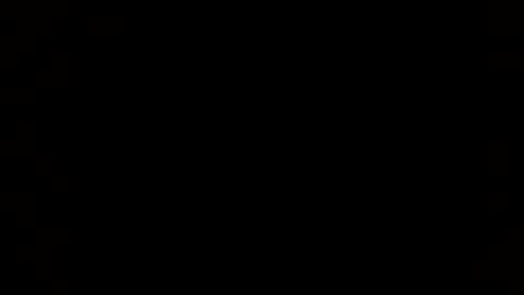 Lewis online show from December 2024 11:22:02 AM