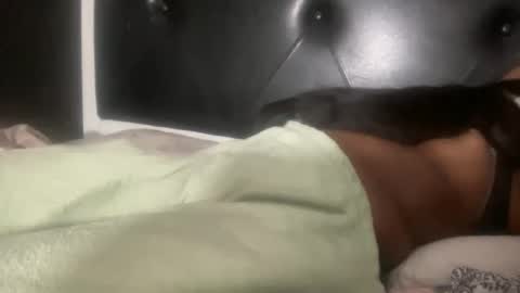 Snapshot of kinkykittee chatting on February 2025 05:40:01 AM Bunniii online show from February 2025 05:40:01 AM