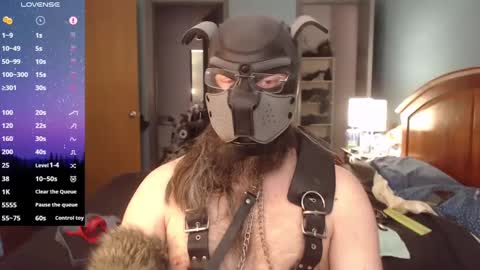 kinkywolf87 online show from February 2025 06:42:02 PM