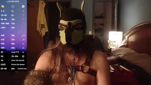 kinkywolf87 online show from March 2026 12:49:02 AM