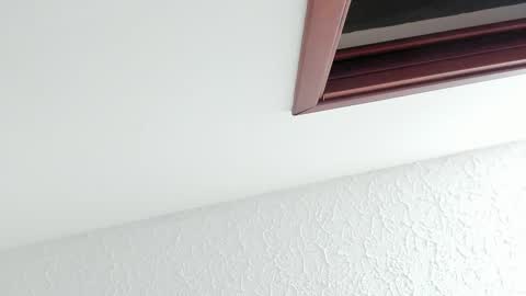 Sara online show from February 2026 12:16:01 PM