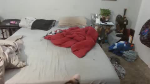 Kitten and rebellious online show from February 2025 04:57:01 PM