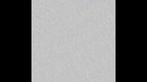 kitty online show from February 2026 02:07:03 AM