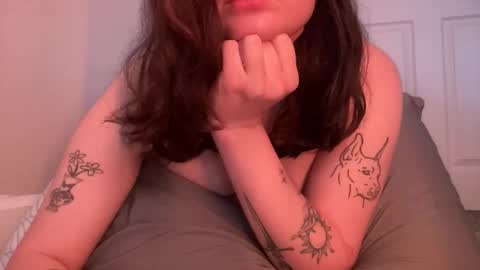 knextdoor online show from March 2026 05:08:02 PM