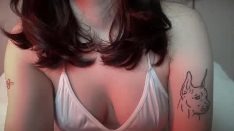 knextdoor online show from April 2026 09:23:01 PM