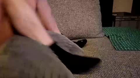 koelie1982 online show from December 2024 01:28:02 AM