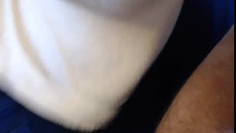 Konrad online show from March 2025 09:25:02 AM