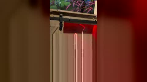 Snapshot of korysmith568 chatting on February 2026 03:25:02 AM korysmith568 online show from February 2026 03:25:02 AM