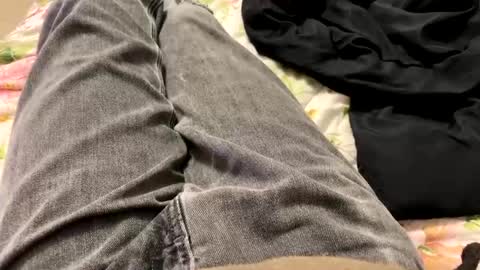 kpcloud255498 online show from January 2025 02:52:01 AM