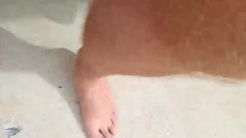 Snapshot of kramit1222 chatting on September 2025 04:43:01 PM kramit1222 online show from September 2025 04:43:01 PM