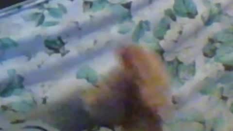 kren565656 online show from December 2024 11:32:02 AM