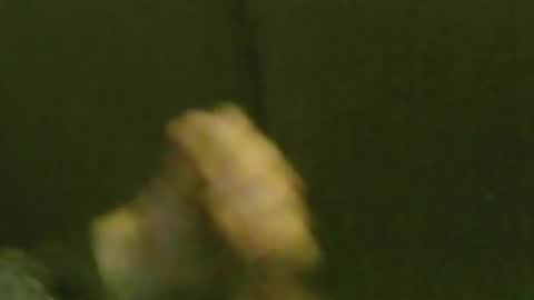 kren565656 online show from January 2025 09:35:02 AM