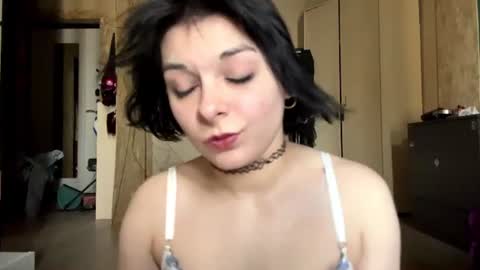 Regina online show from July 2026 11:14:01 AM