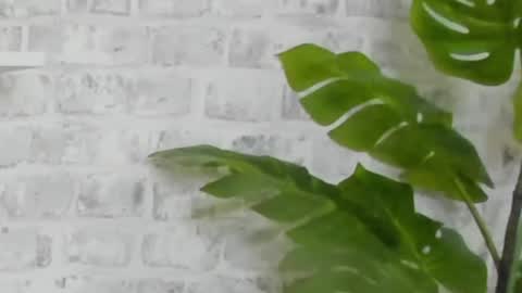 Kristi online show from December 2024 09:45:02 AM