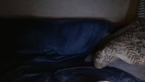 Kyle chat online show from April 2026 06:33:01 AM