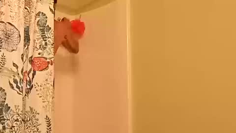 kyleisabadname online show from October 2025 12:44:02 AM