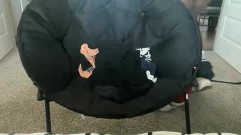 Snapshot of kylekickstand chatting on November 2025 05:46:02 PM Kyle Kickstand online show from November 2025 05:46:02 PM