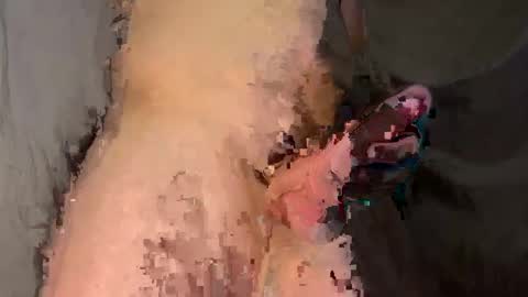 kylevandick online show from January 2025 02:58:01 AM