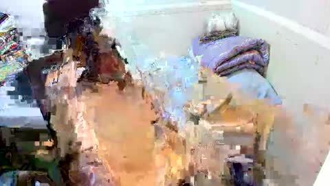 Eynah online show from September 2025 04:56:01 AM