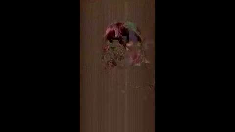 laceysuxx online show from June 2026 04:06:01 AM