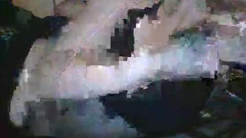 lady24x online show from April 2026 02:48:02 AM