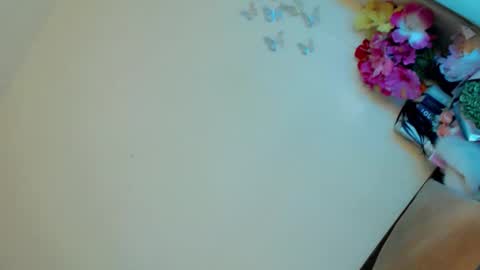 Snapshot of lady_in_black18 chatting on February 2025 10:53:01 PM Stella online show from February 2025 10:53:01 PM