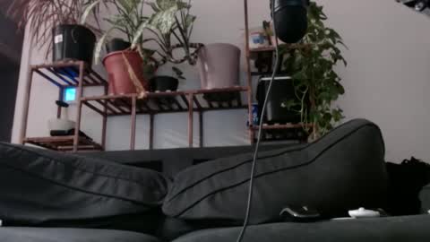 Snapshot of laidback_and_chill chatting on December 2024 08:26:01 AM Rick online show from December 2024 08:26:01 AM