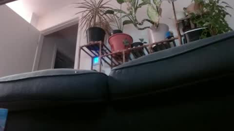 Snapshot of laidback_and_chill chatting on February 2025 03:08:02 AM Rick online show from February 2025 03:08:02 AM