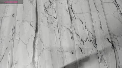 Snapshot of laiilybell chatting on February 2026 12:25:01 PM laiily bell online show from February 2026 12:25:01 PM